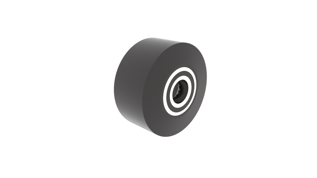 Schuifpoortwiel dia 100x50 (voor tandem)