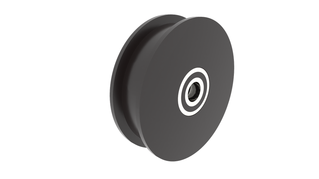  Schuifpoortwiel dia 180x51 (voor tandem)