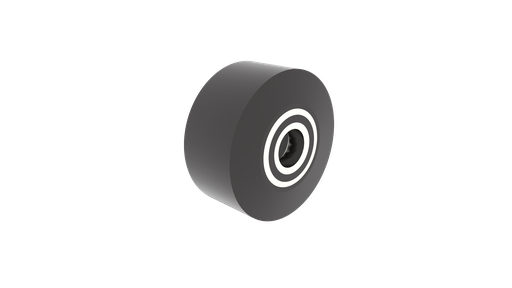[P2304] Schuifpoortwiel dia 100x50 (voor tandem)